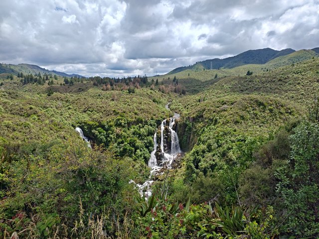 IMG 20240105 120126321 HDR