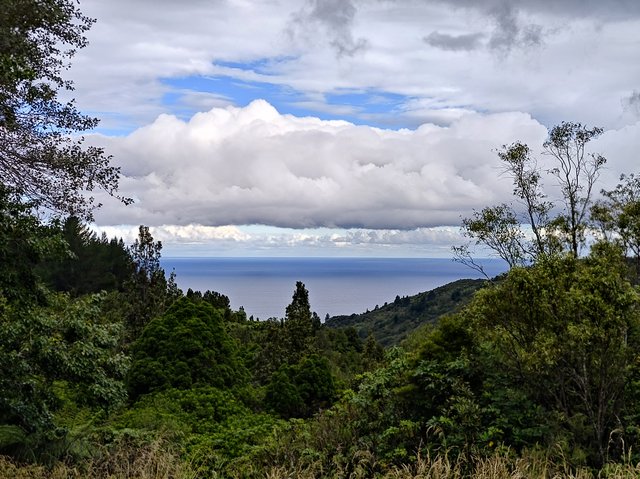 IMG 20240106 175544531 HDR