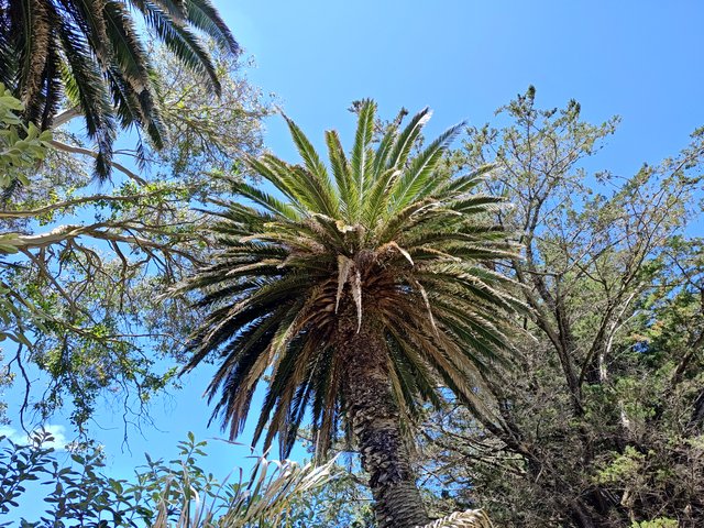 IMG 20240107 144444472 HDR