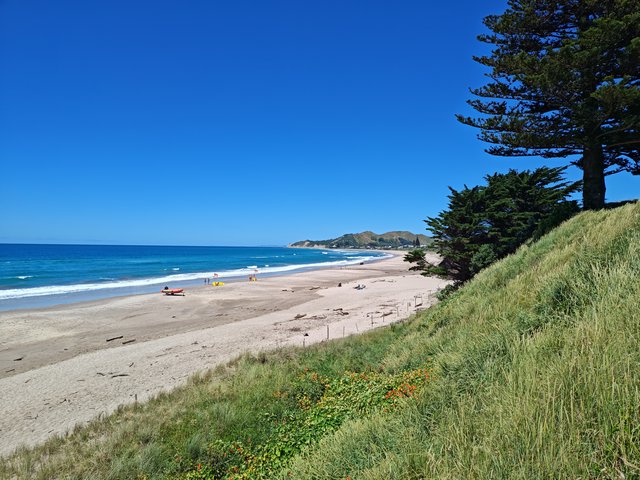 IMG 20240108 114120101