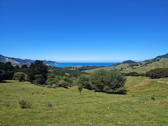 IMG 20240108 145853504