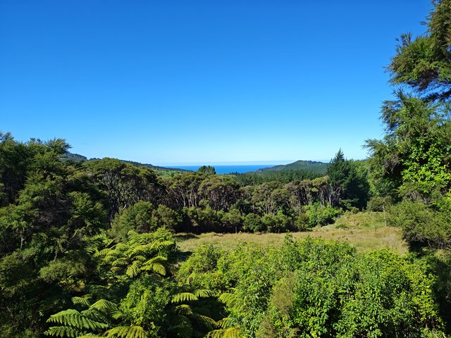 IMG 20240108 163005060