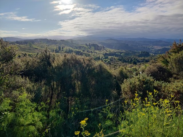 IMG 20240108 184906340 HDR