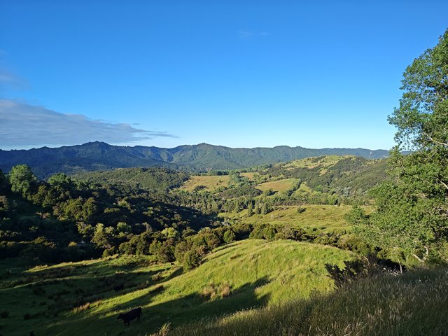 IMG 20240108 185105518