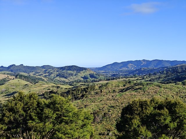 IMG 20240108 185353116