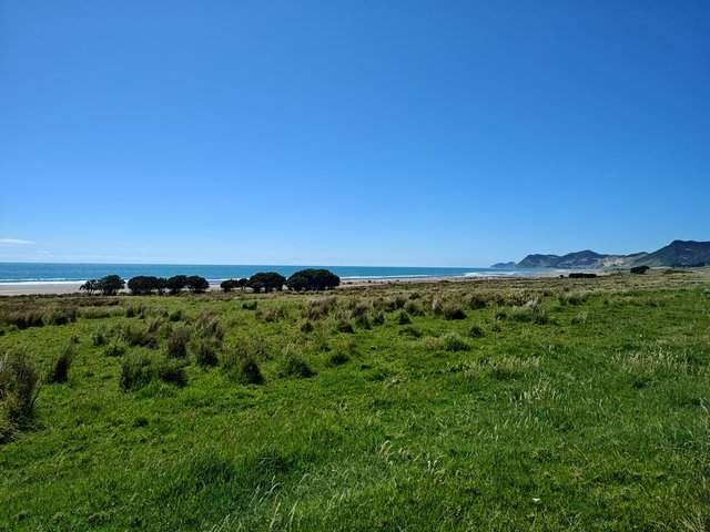 IMG 20240109 110412666 HDR