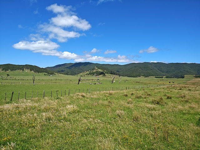 IMG 20240109 112531814