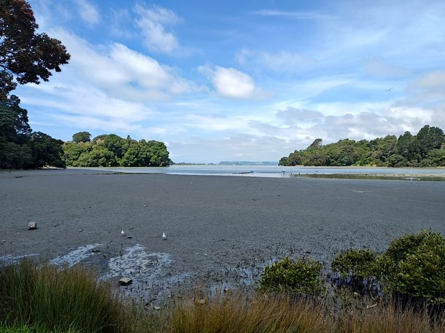 IMG 20240110 153145587 HDR