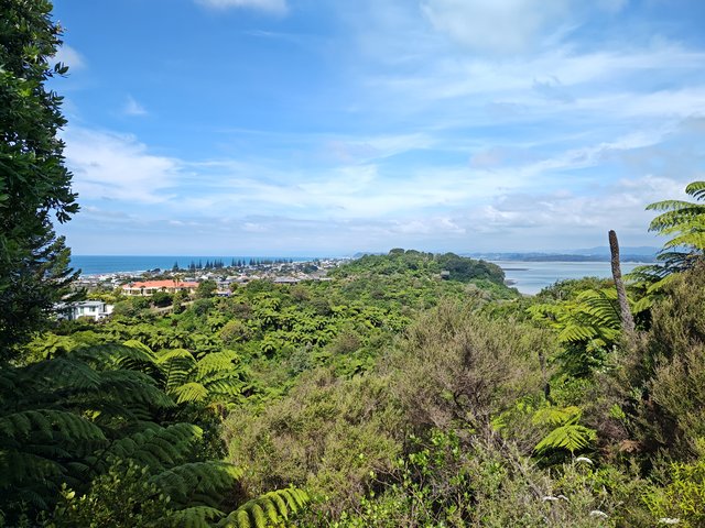 IMG 20240110 155220305