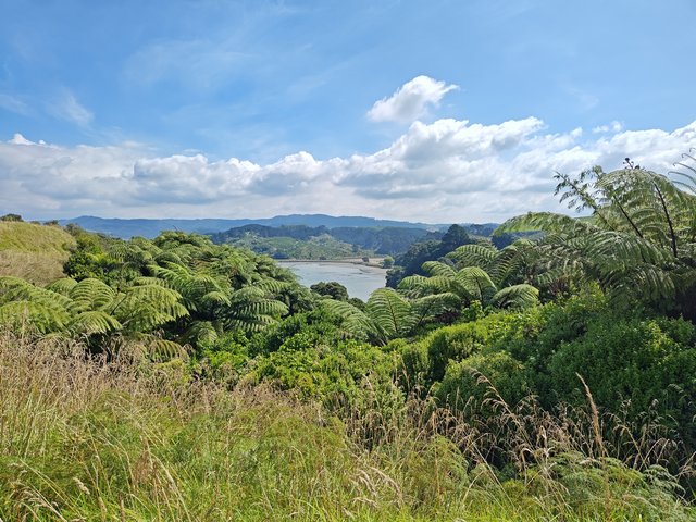 IMG 20240110 155350263