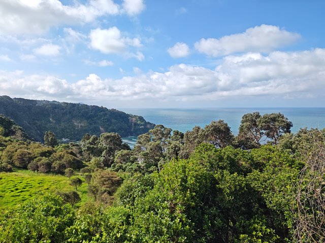 IMG 20240110 171006215