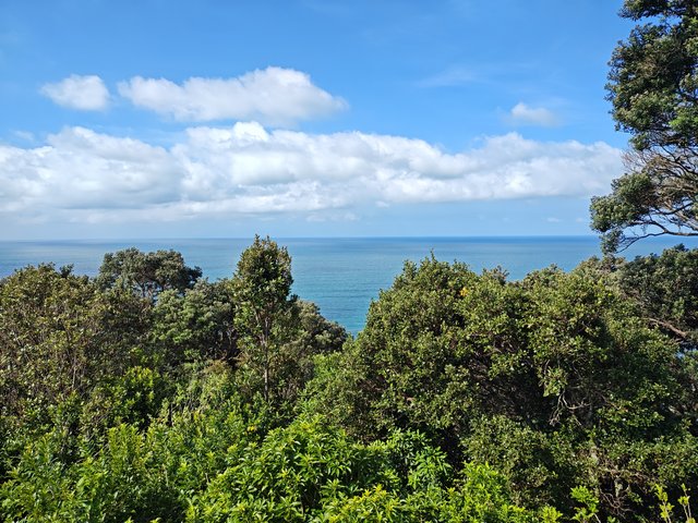 IMG 20240110 171031569