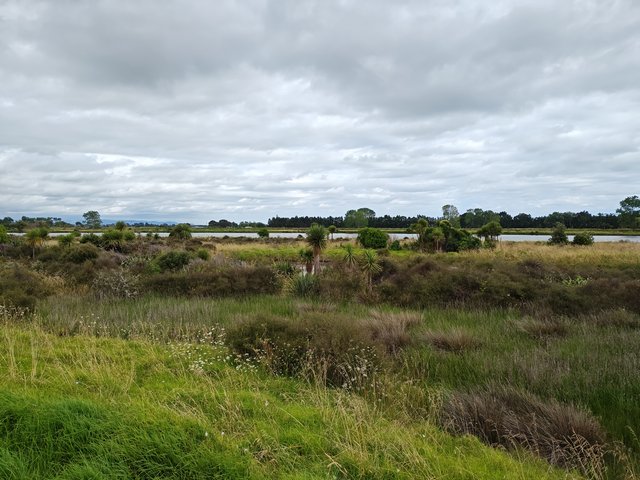 IMG 20240111 094211454