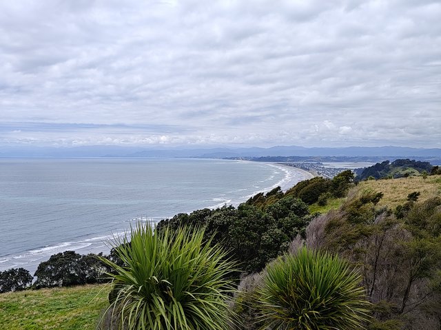 IMG 20240111 131036461