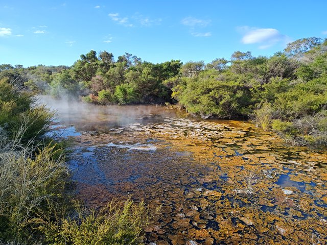 IMG 20240111 184656680