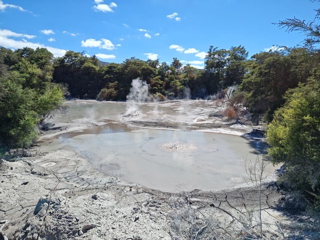 IMG 20240112 105210169