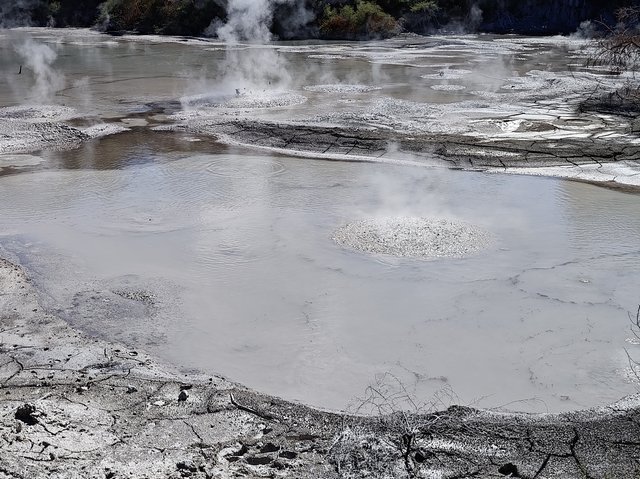 IMG 20240112 110005852