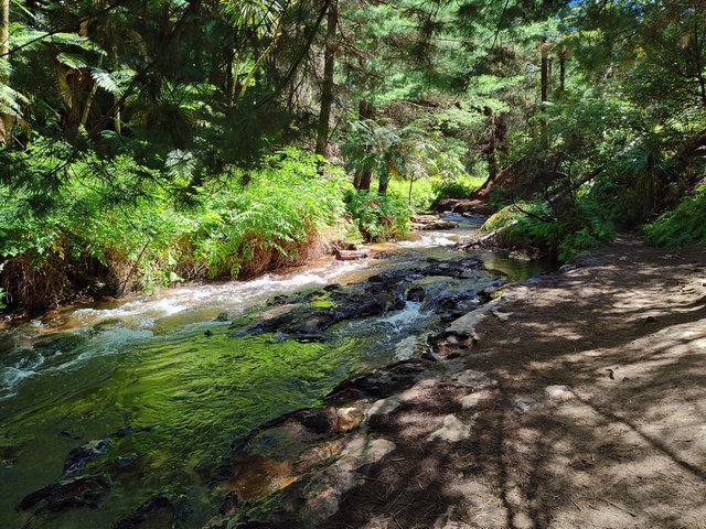 IMG 20240112 112144673 HDR