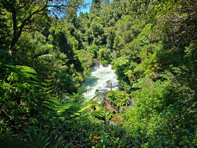 IMG 20240112 130250243 HDR