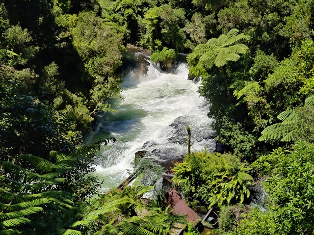 IMG 20240112 130303945 HDR