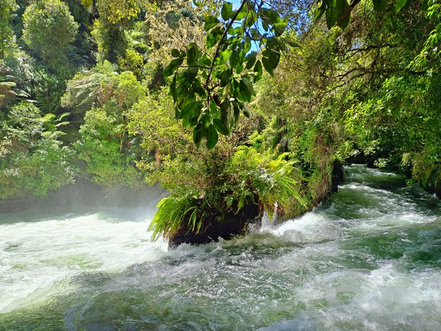 IMG 20240112 130849219 HDR