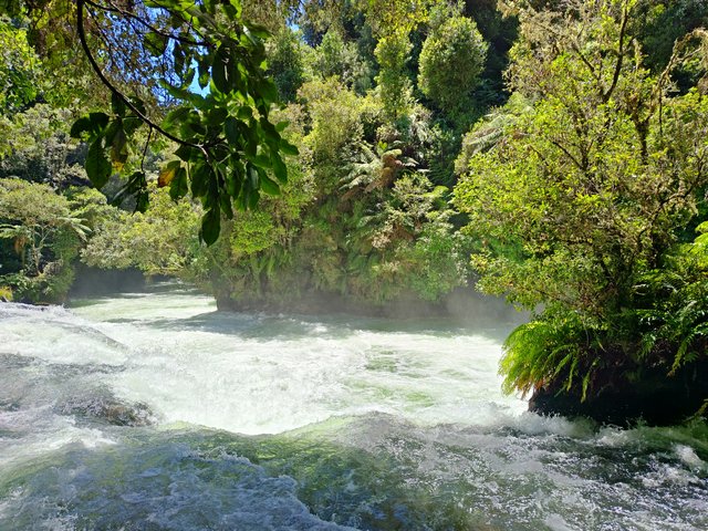 IMG 20240112 130920696 HDR