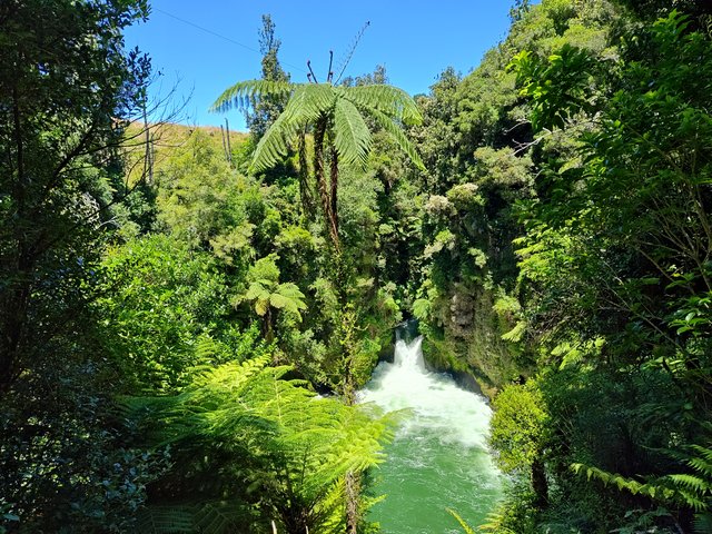 IMG 20240112 132351173 HDR