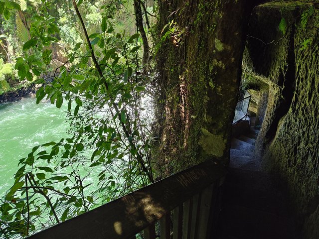 IMG 20240112 133410272 HDR