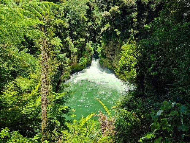 IMG 20240112 133622427 HDR