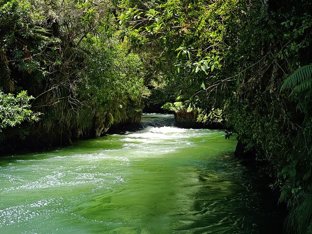 IMG 20240112 135036738 HDR