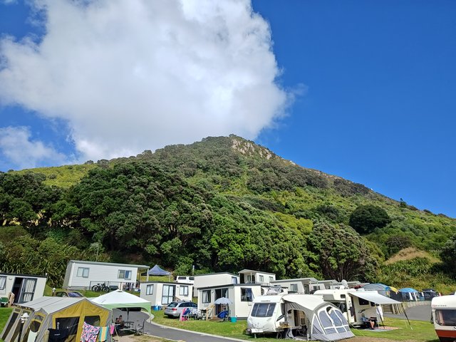 IMG 20240113 094444280 HDR