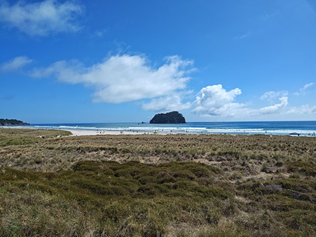 IMG 20240113 104413555