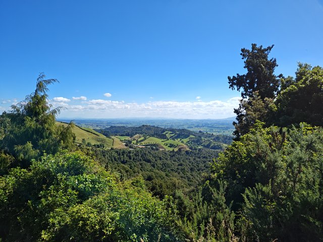 IMG 20240113 164612932