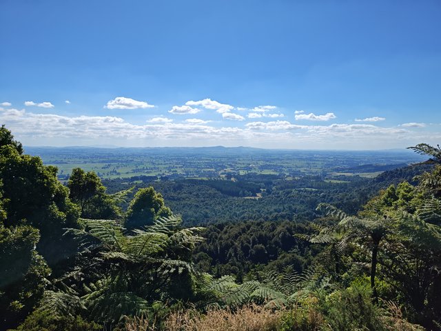 IMG 20240113 164642351