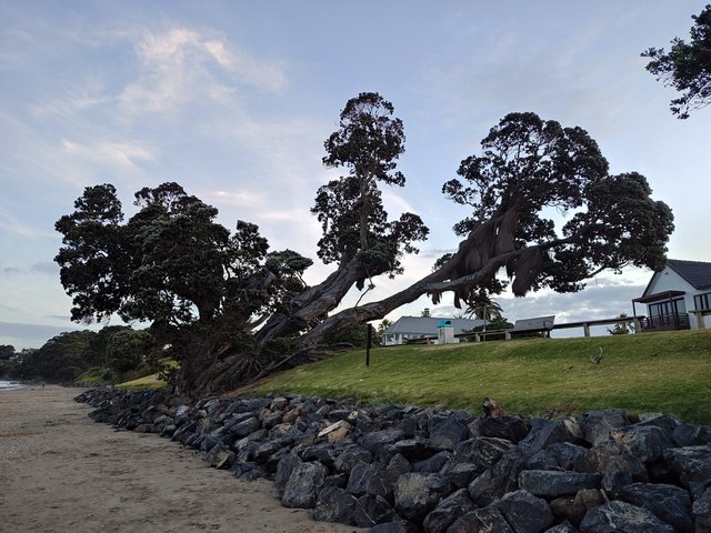 IMG 20240114 203523575 HDR