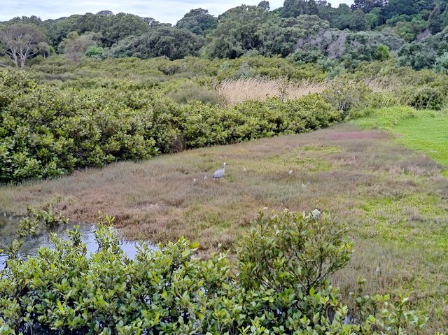 IMG 20240115 104143869 HDR