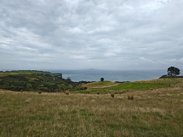 IMG 20240115 110215680