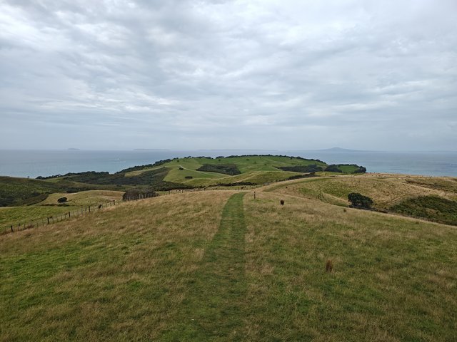 IMG 20240115 111051590