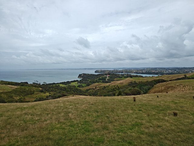 IMG 20240115 112439809