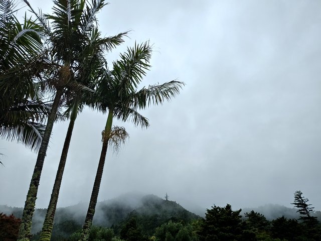 IMG 20240116 101006955 HDR