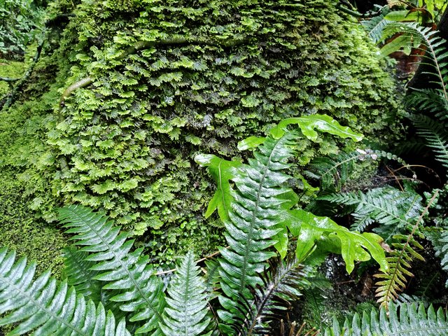 IMG 20240116 111336625 HDR