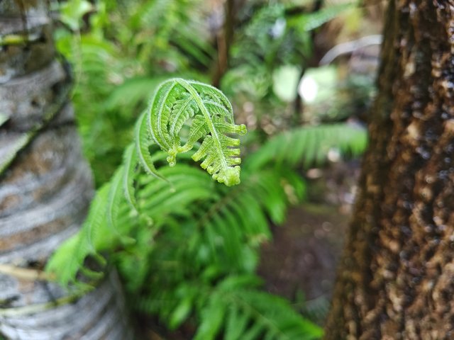 IMG 20240116 111534185