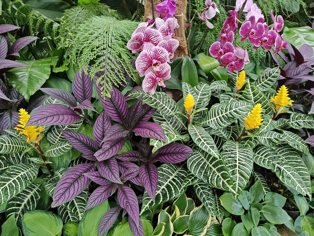 IMG 20240116 112155880