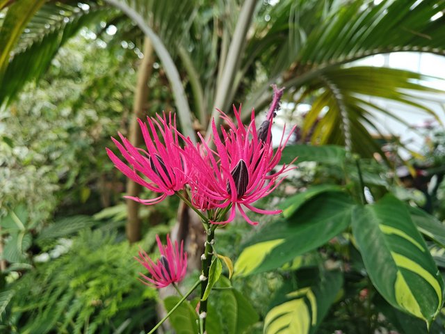 IMG 20240116 112320534