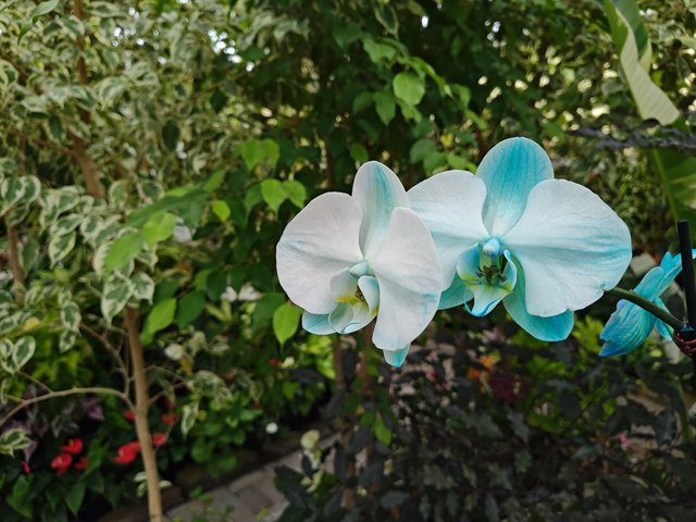 IMG 20240116 112400972