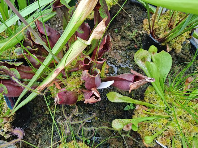 IMG 20240116 112556390