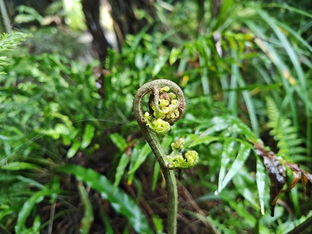 IMG 20240116 112943790