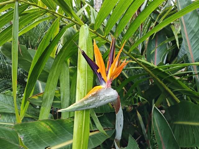 IMG 20240116 113307106