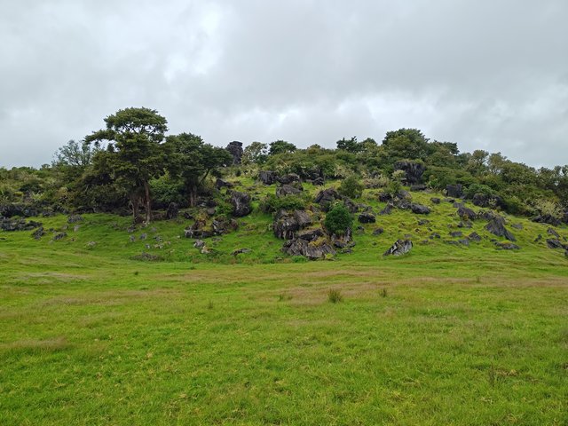 IMG 20240116 140349524