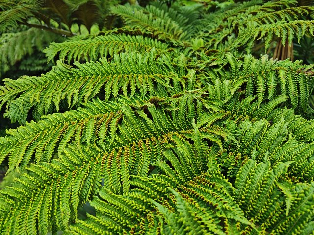 IMG 20240116 143026479